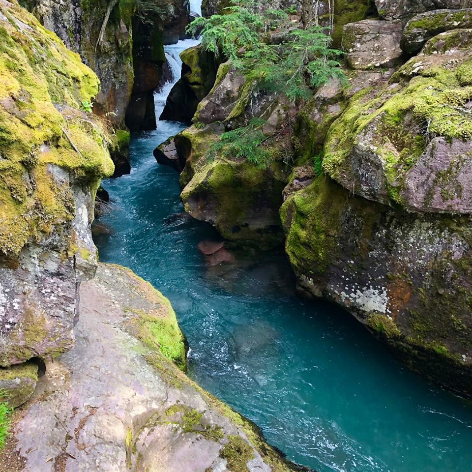 Montana Real Estate Group